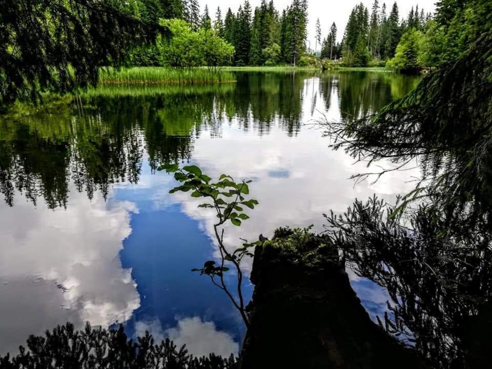 Apartmany Minata Liptovsky Mikulas Bagian luar foto