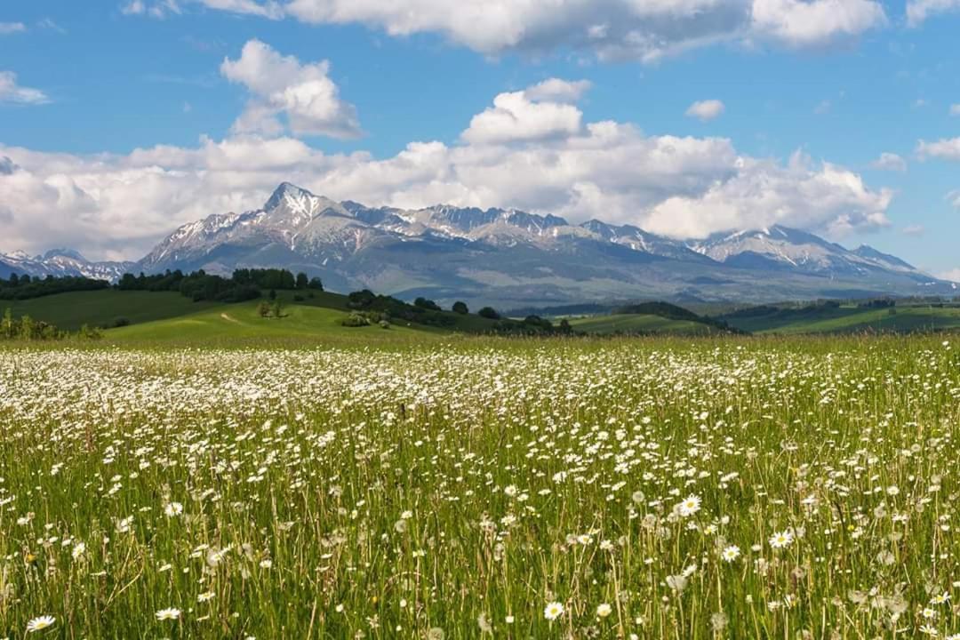 Apartmany Minata Liptovsky Mikulas Bagian luar foto